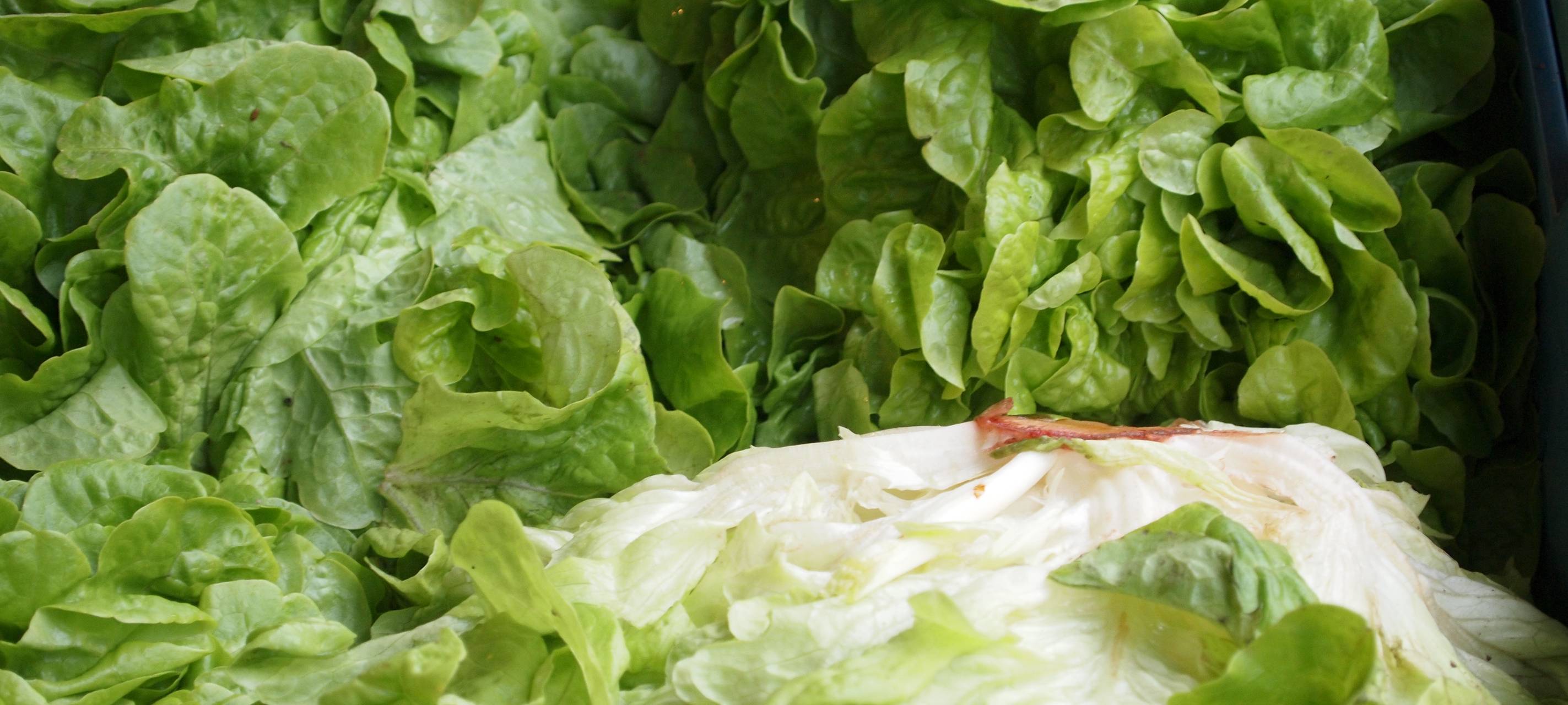 Nach Brand an A40: Obst und Gemüse wieder essbar