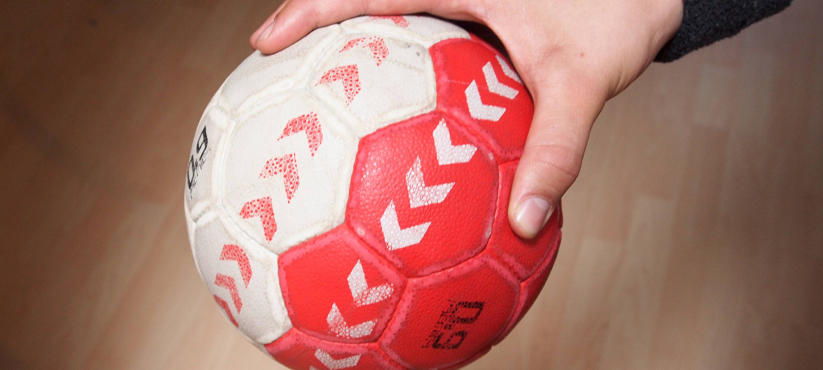 Handball: Trainer verlässt TUSEM