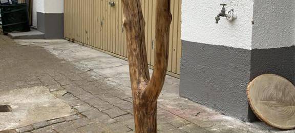 Basteltipp: Spiel-Ideen für Katzen