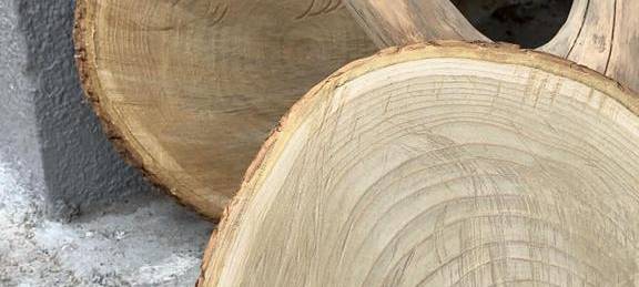 Basteltipp: Spiel-Ideen für Katzen