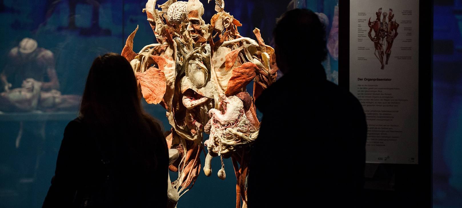 koerperwelten_ausstellungsdokumentation_muelheim--radio-essen