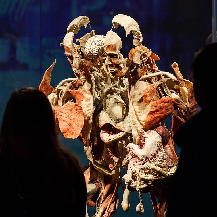 koerperwelten_ausstellungsdokumentation_muelheim--radio-essen