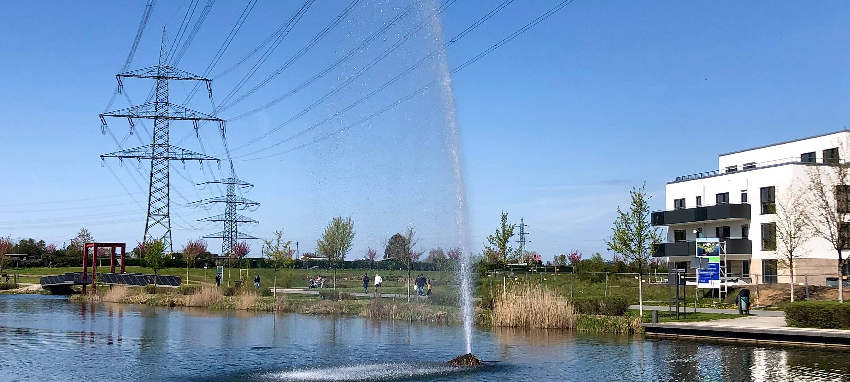 Essen: Vogelnest direkt auf Wasserfontäne - sind die Tiere in Gefahr?