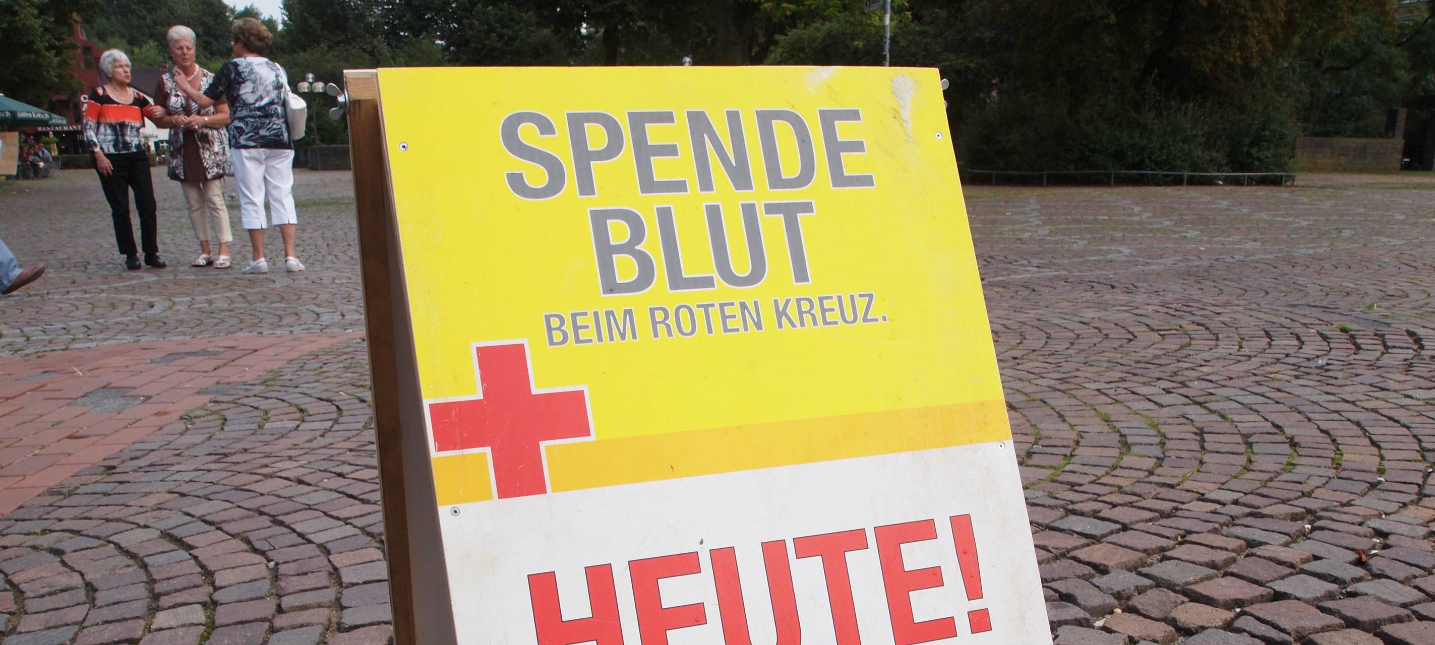 DRK in Essen testet bei Blutspende auf neue Krankheiten durch Mücken