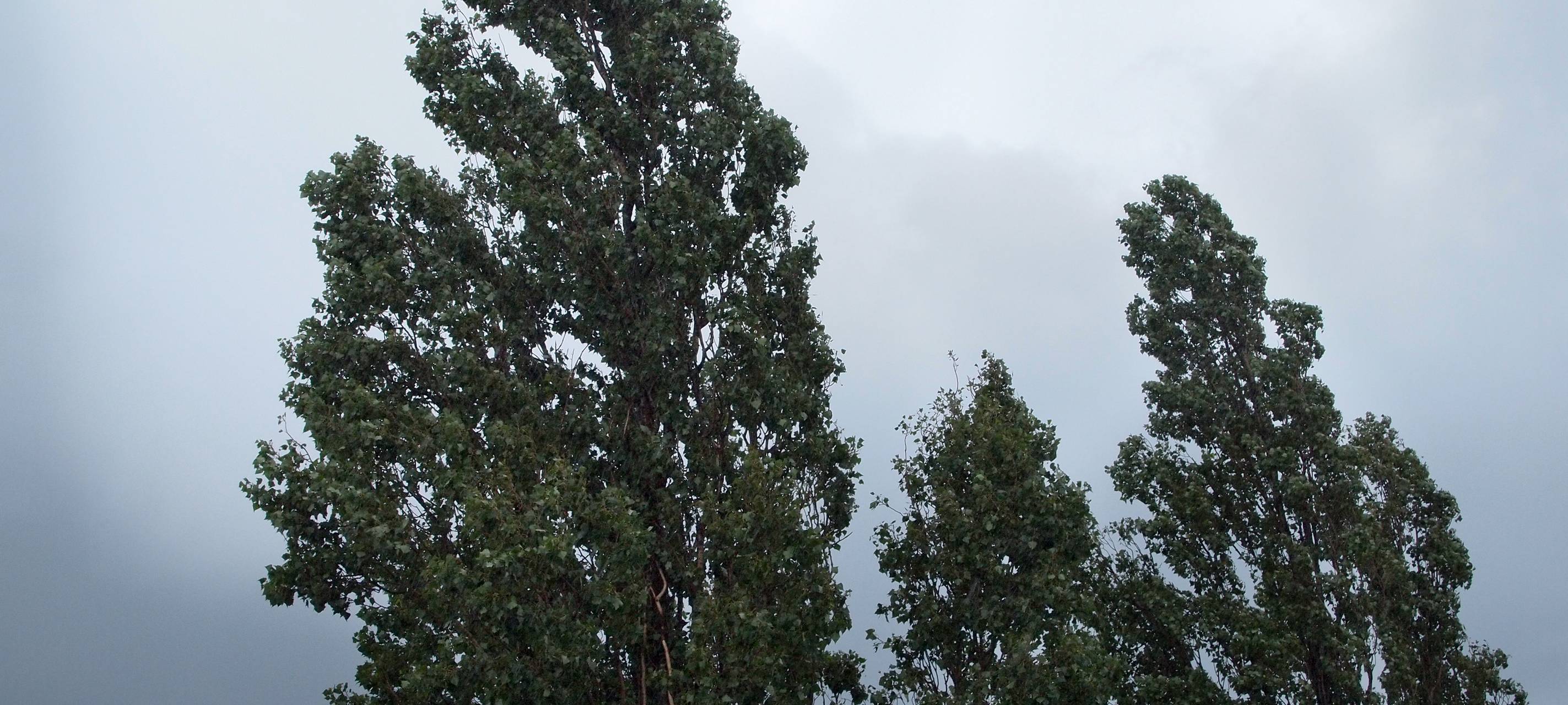Silvester und Neujahr in Essen werden sehr windig - Achtung mit Feuerwerk!