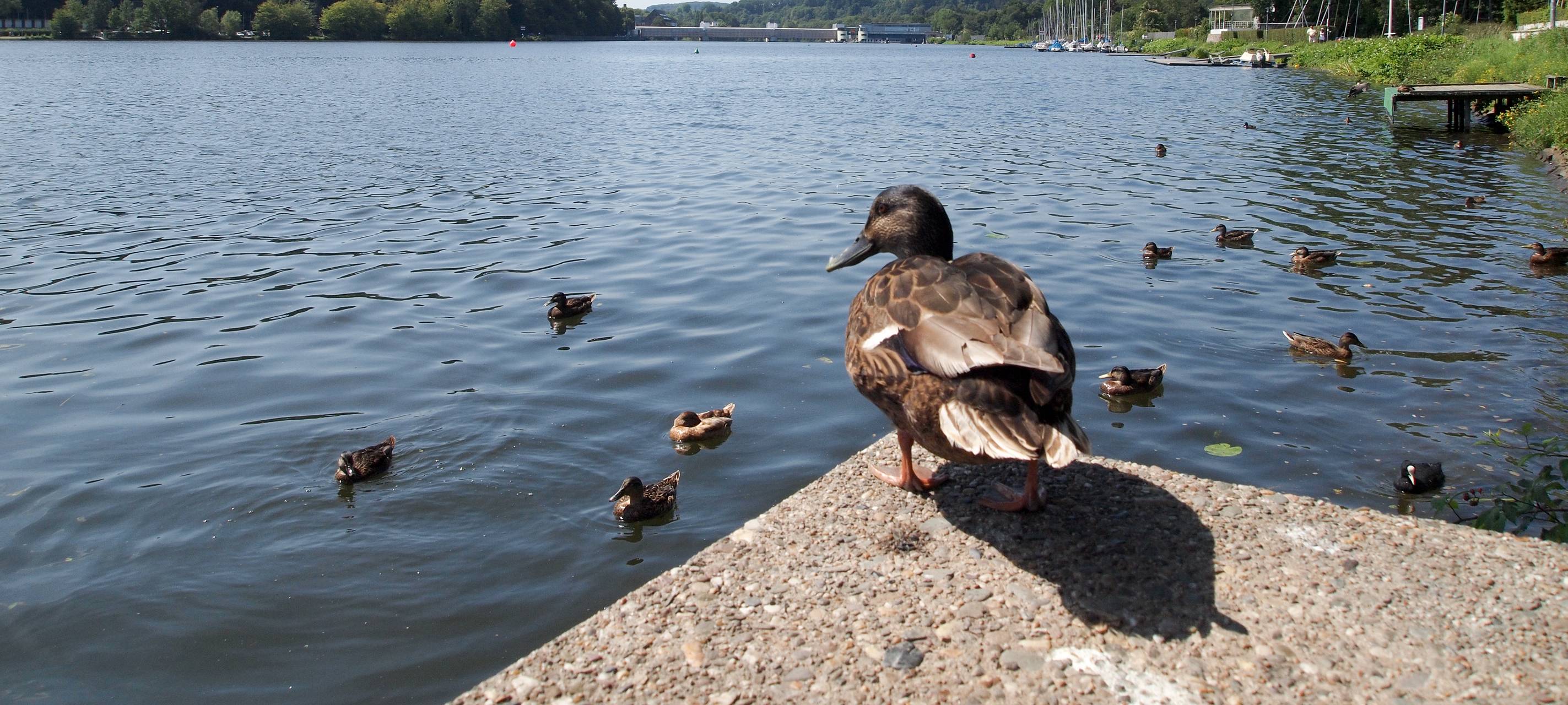 Essen Sehenswürdigkeiten: Tipps fürs Wochenende