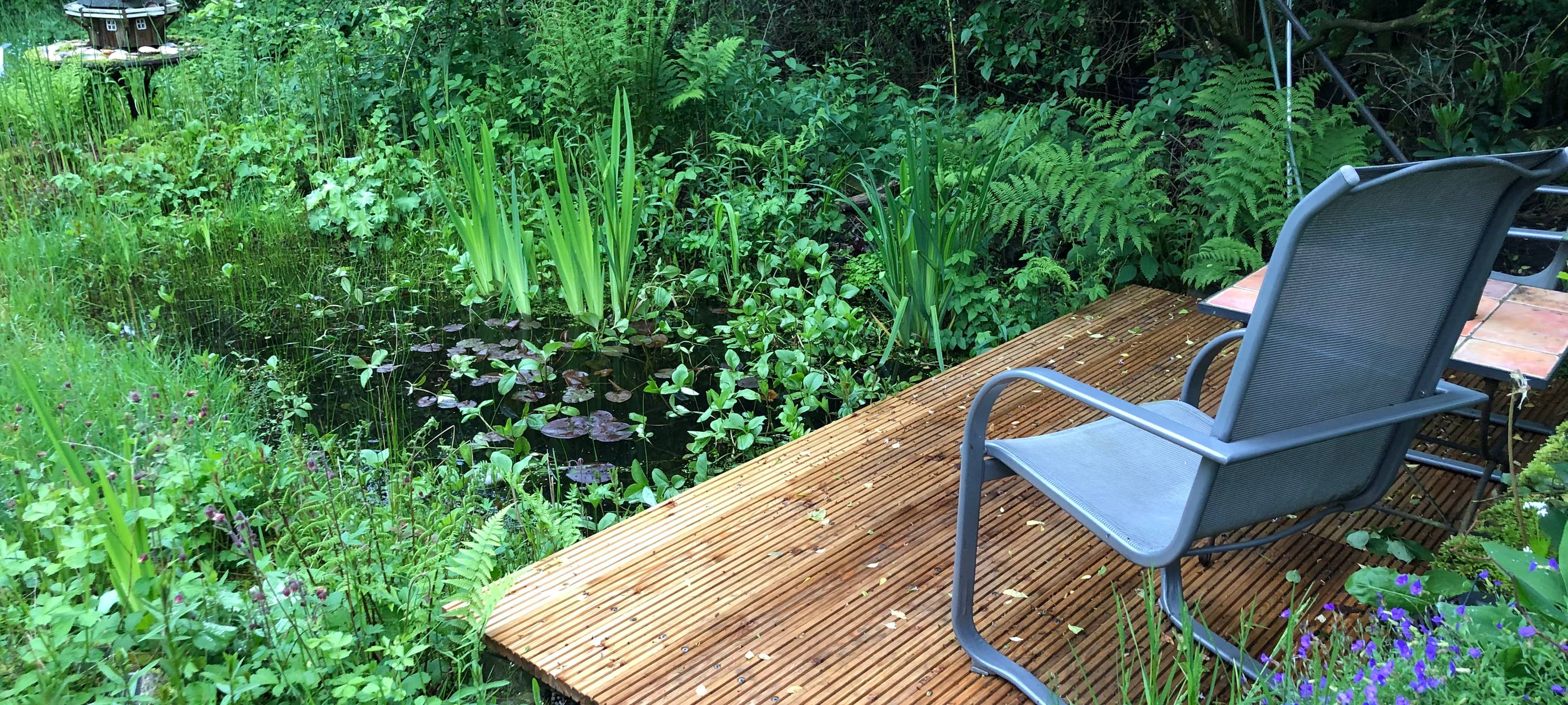 uwe-van-hoorn-nabu-radio-essen-naturschutzbund-ornitologe-voegel