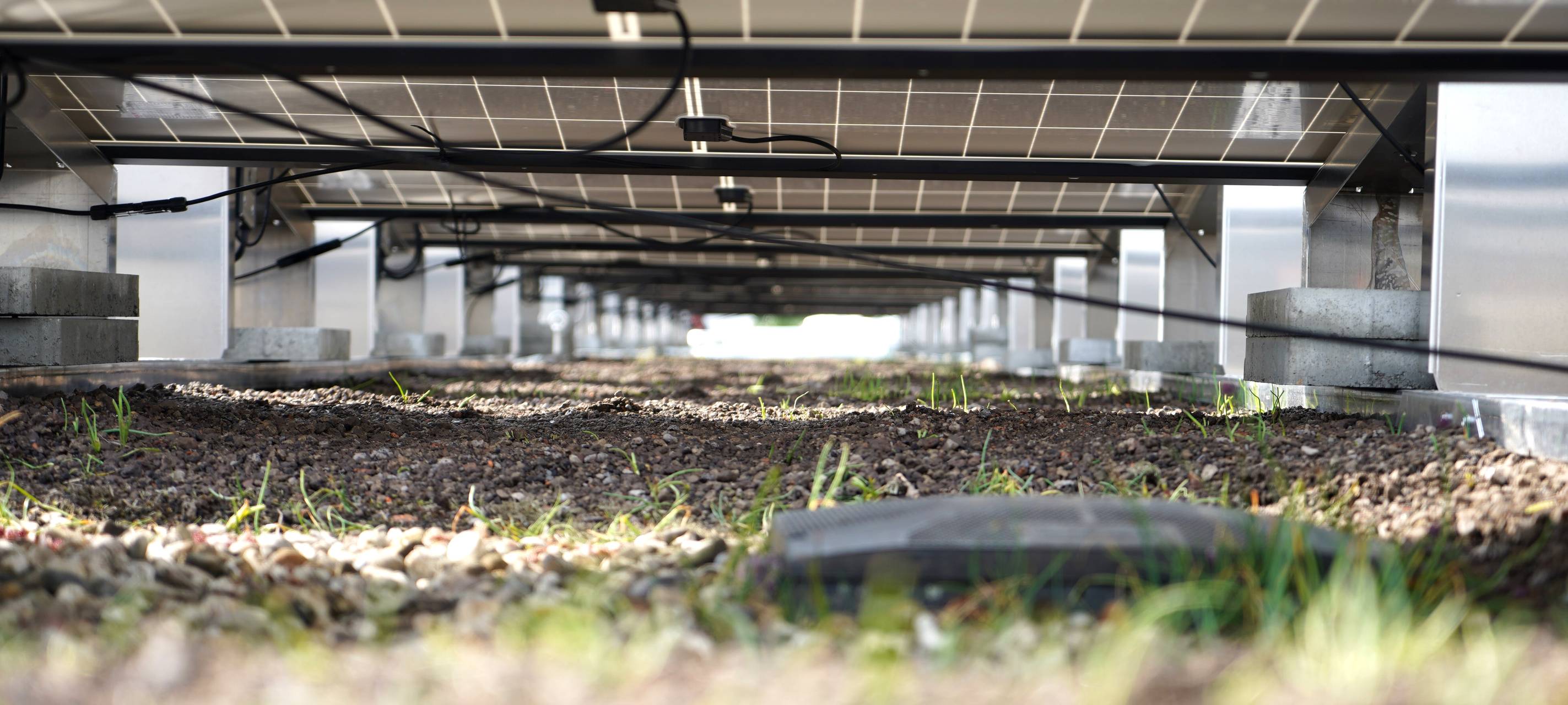 Neue Solaranlage: LANUV in Essen will klimaneutral werden