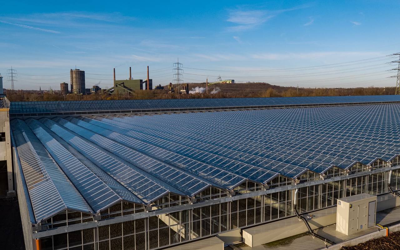 Die Klärschlamm-Trocknungsanlage sieht von oben aus wie ein großes Solaranlagen-Feld.