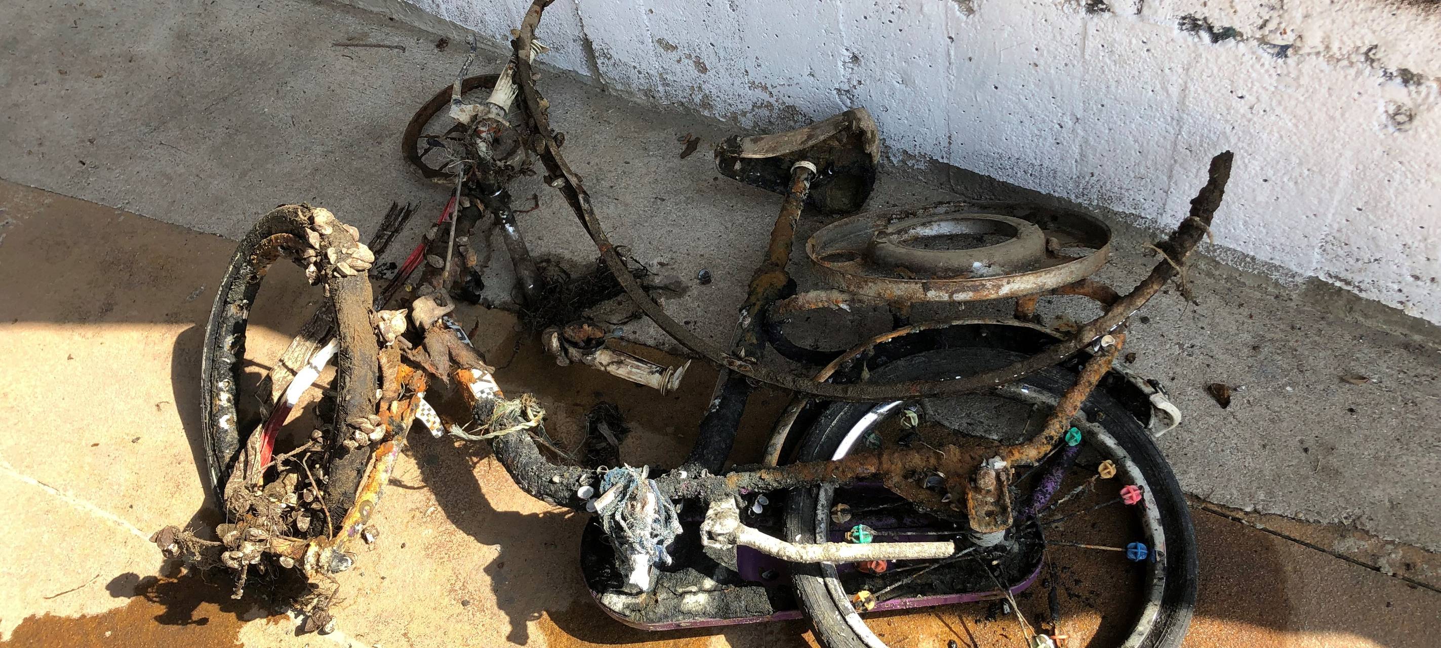 Essen: Magnetfischer an Ruhr und Kanal - Das anziehende Hobby