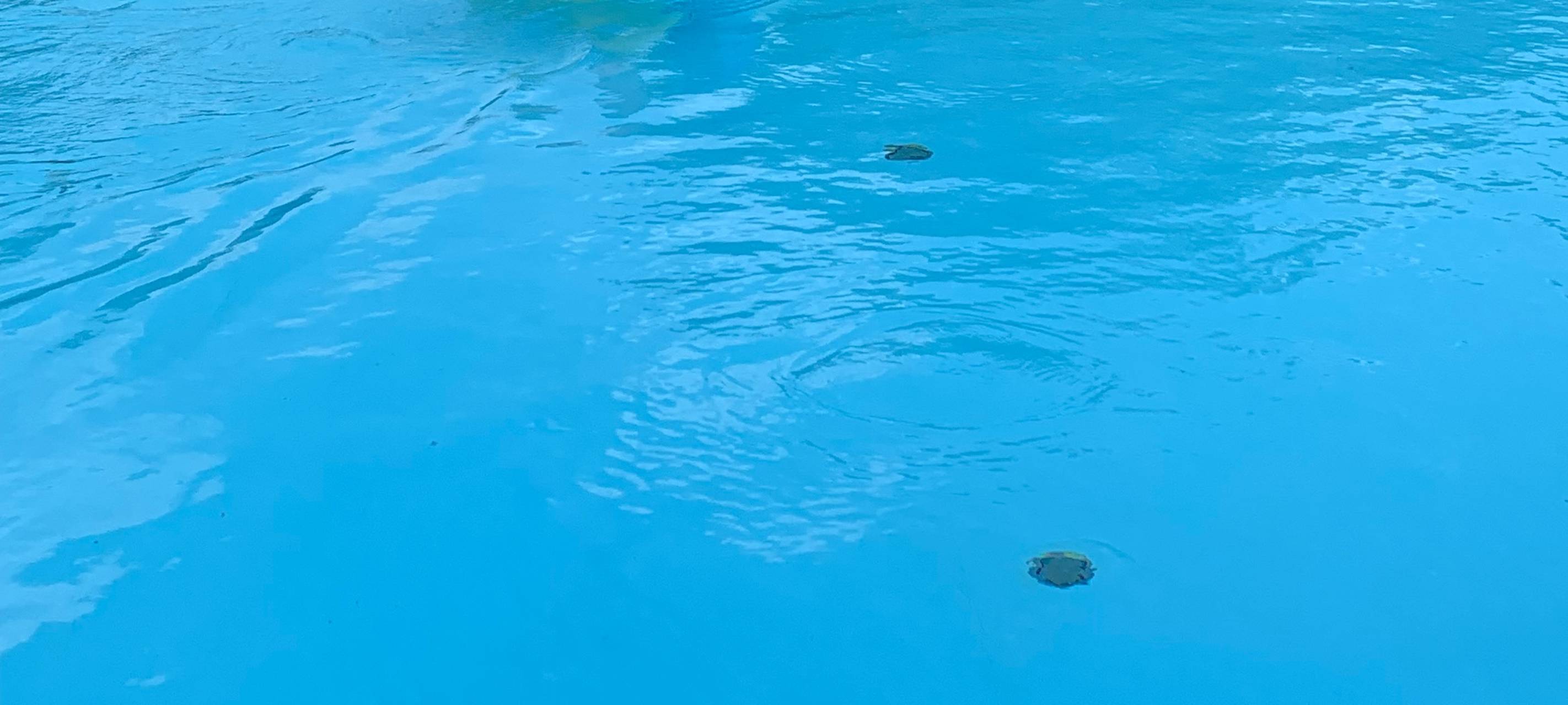 Essen: Power Paddler WM gestartet