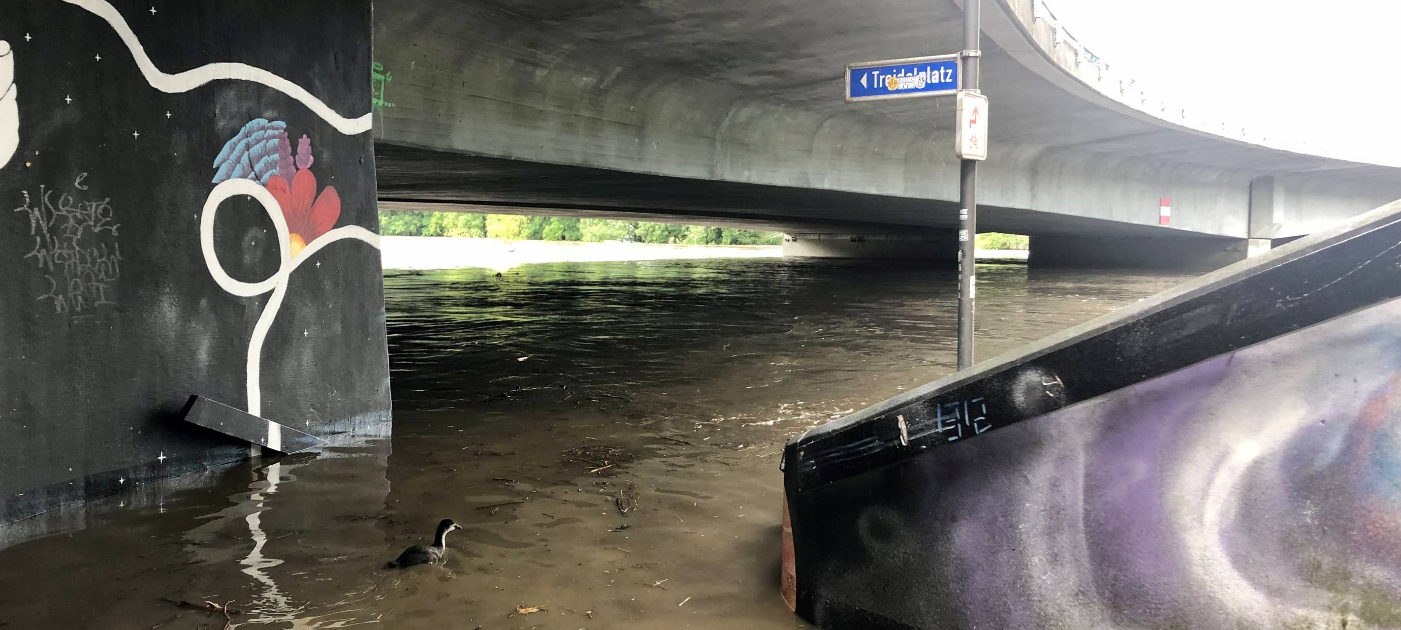 Die Brehminsel ist überflutet.