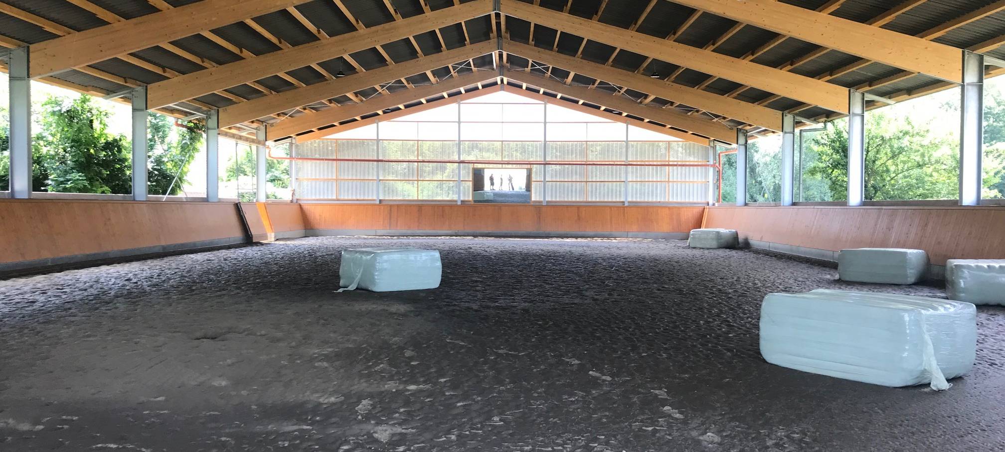 Essen: Spektakuläre Tierrettung im Hochwasser