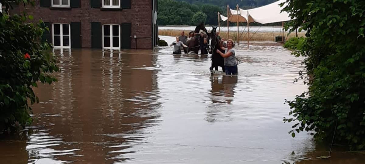 Essen: Spektakuläre Tierrettung im Hochwasser