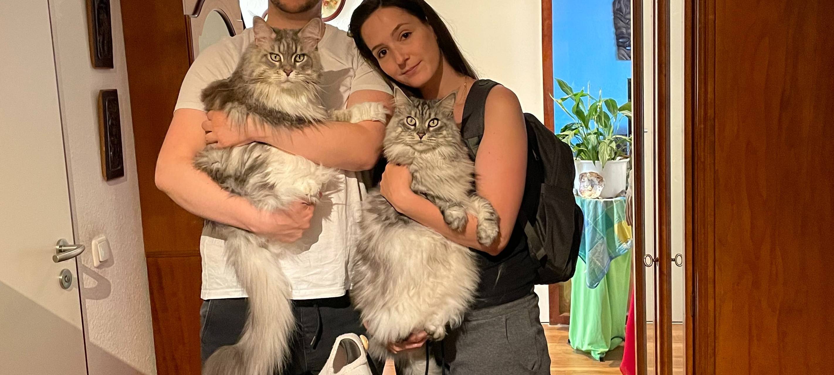 hochwasser-radio-essen-kupferdreh-257ers-katzen