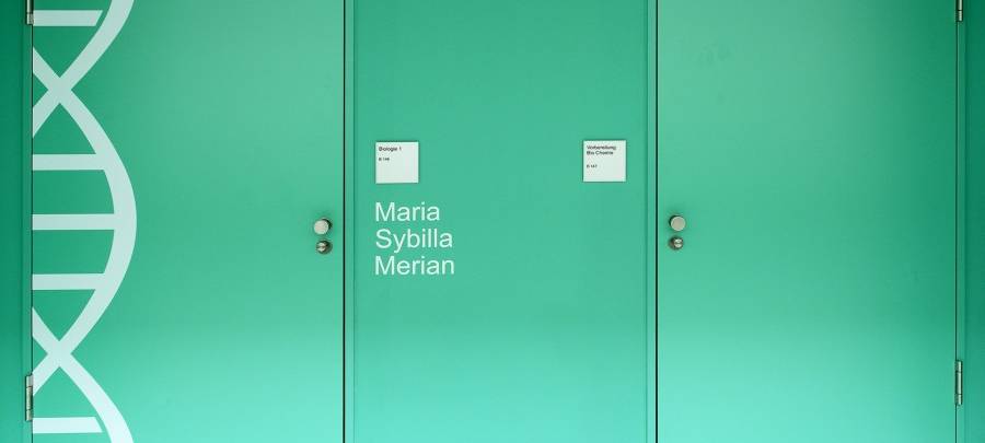 Gustav-Heinemann-Gesamtschule in Essen-Schonnebeck