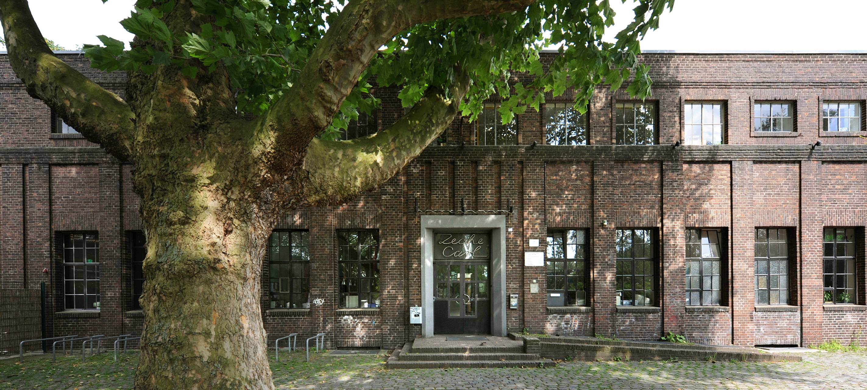 Essen: Klima-Festival für Umweltschutz mit Workshops und Diskussionen