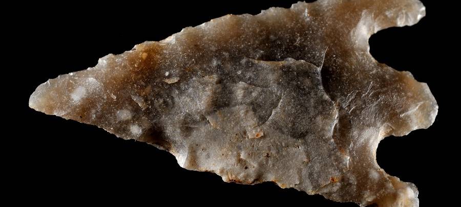 Sensationeller Fund in Essen! Archäologen finden Speerspitze aus der Steinzeit