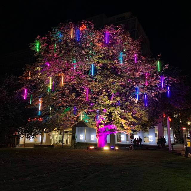 Leuchtender Baum der Wünsche beim Essen Light Festival