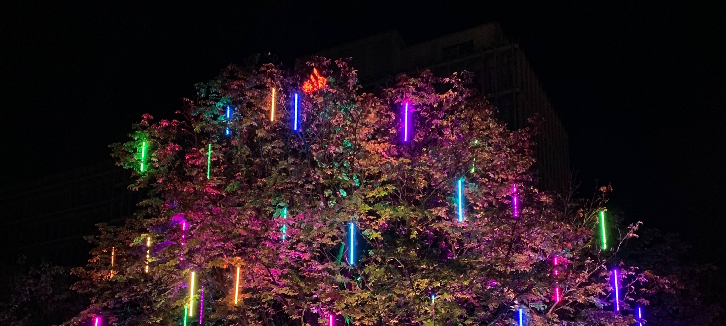 Leuchtender Baum der Wünsche beim Essen Light Festival