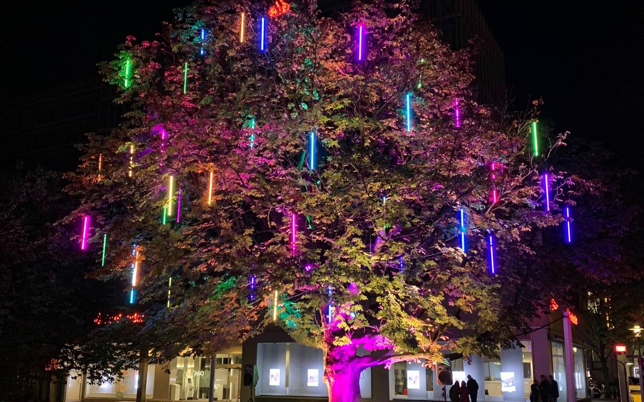 Leuchtender Baum der Wünsche beim Essen Light Festival