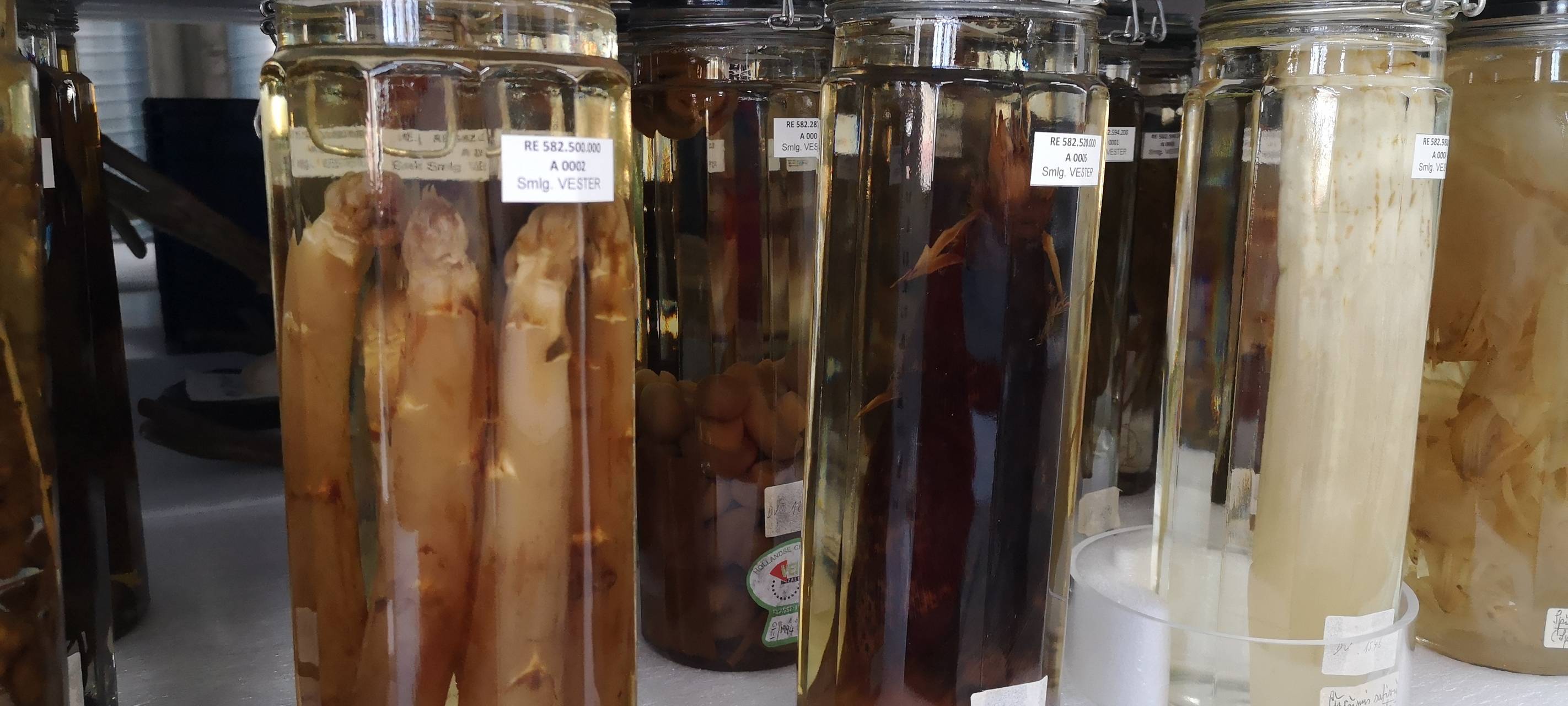 Konservierter Spargel