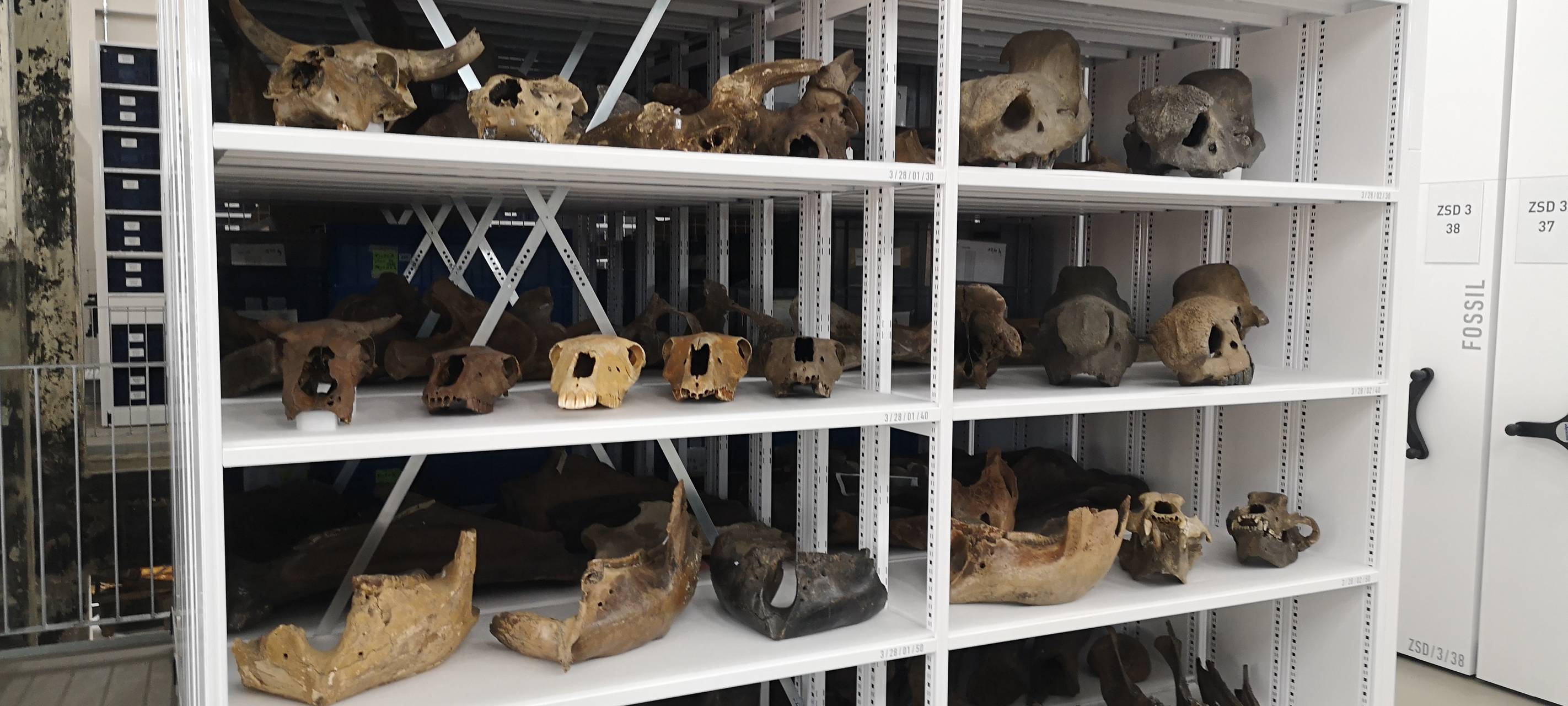 Schaudepot auf Zollverein in Essen: Zeitreise an einem Tag durch Tausende Ausstellungsstücke