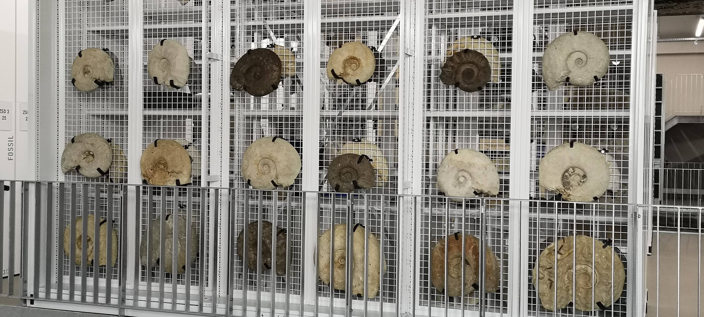 Schaudepot auf Zollverein in Essen: Zeitreise an einem Tag durch Tausende Ausstellungsstücke