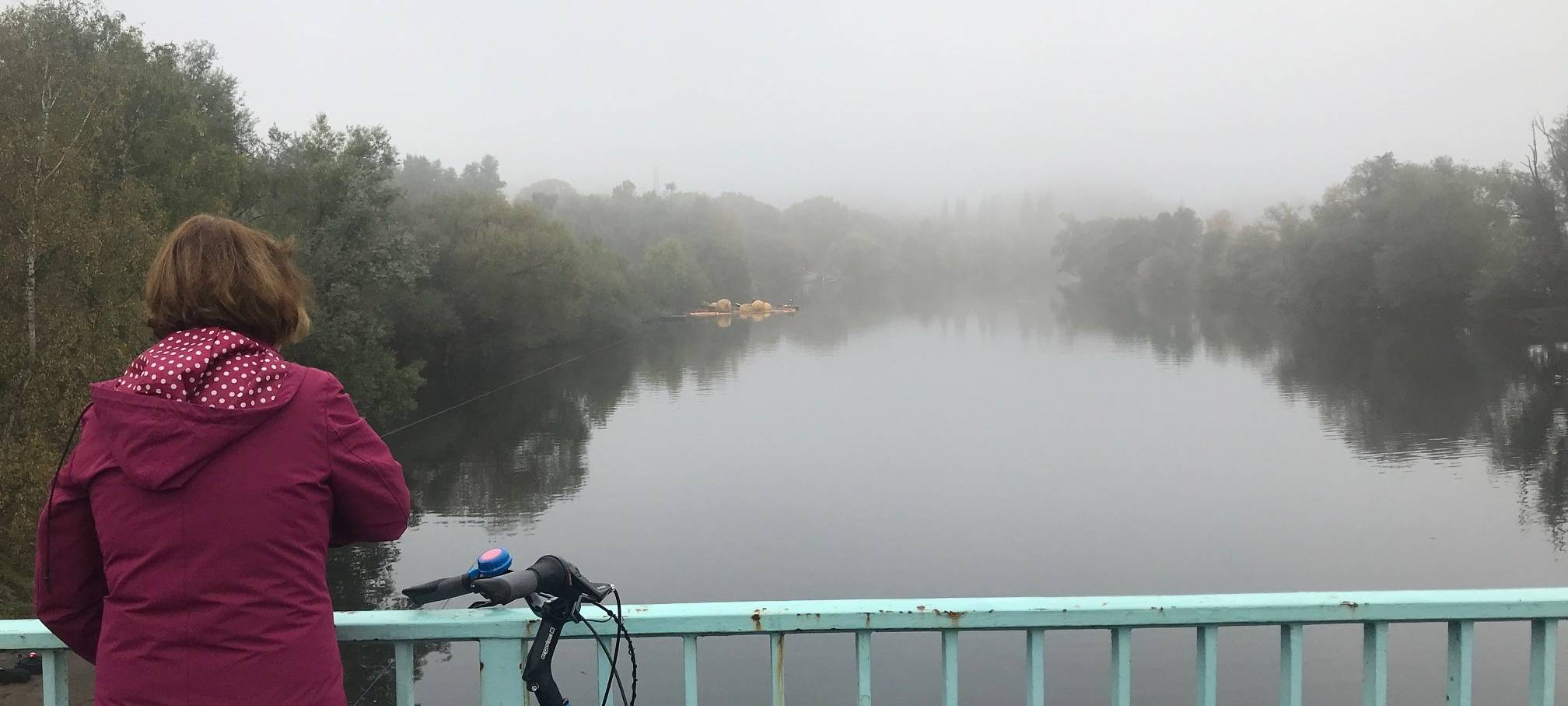 Nach Hochwasser: Moornixe aus Essen wieder über Wasser