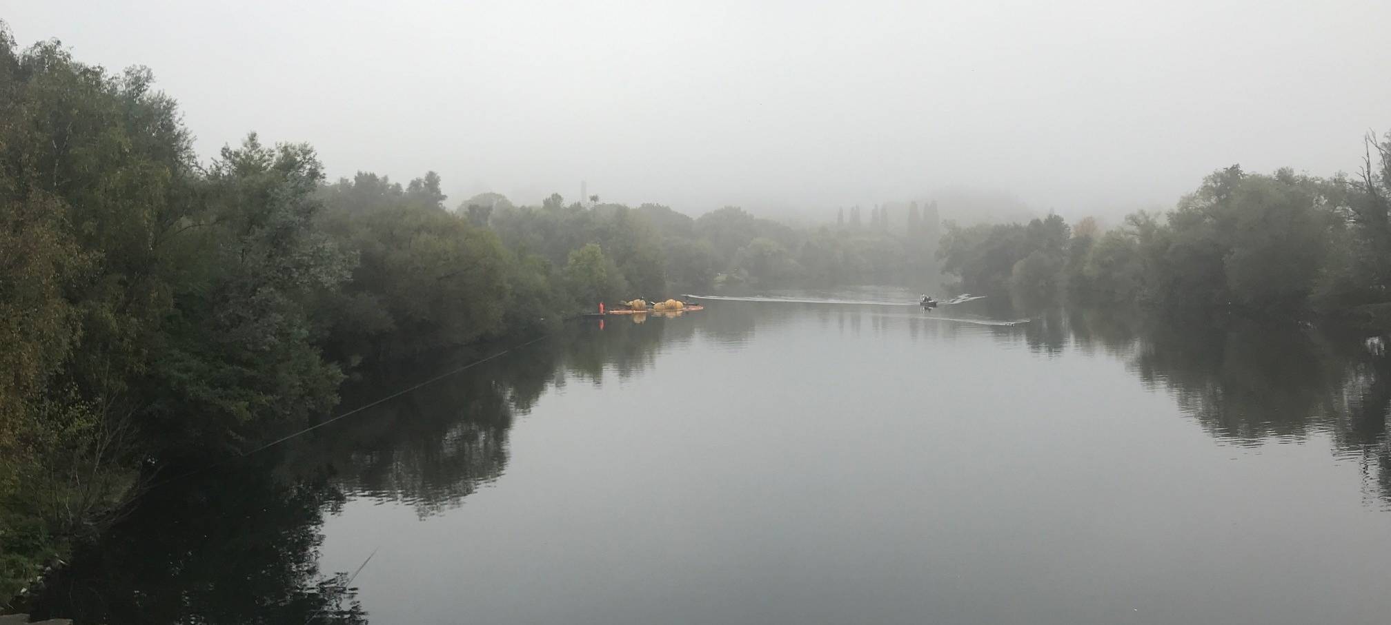 Nach Hochwasser: Moornixe aus Essen wieder über Wasser