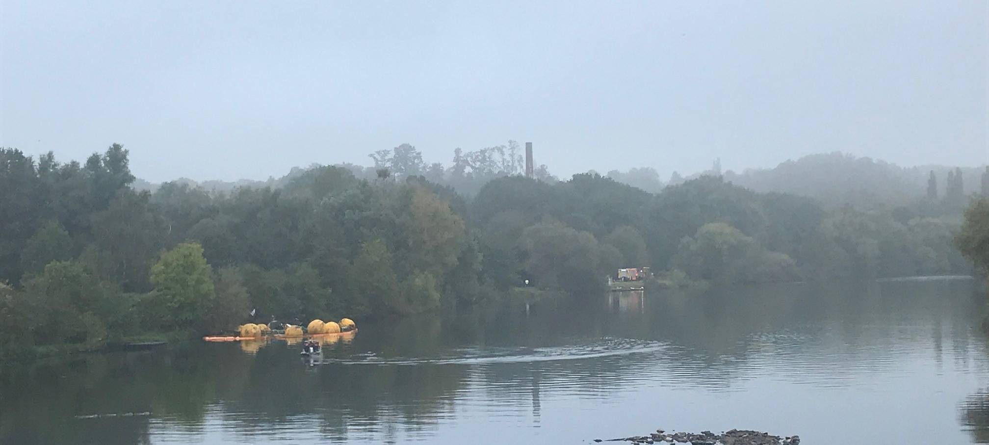 Nach Hochwasser: Moornixe aus Essen wieder über Wasser