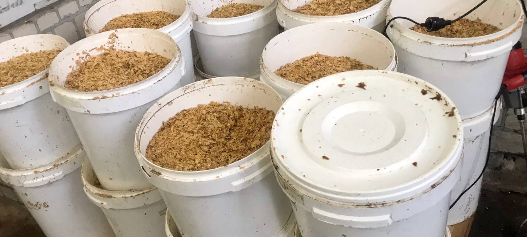 34 Tonnen illegalen Shisha-Tabak hat der Essener Zoll beschlagnahmt.