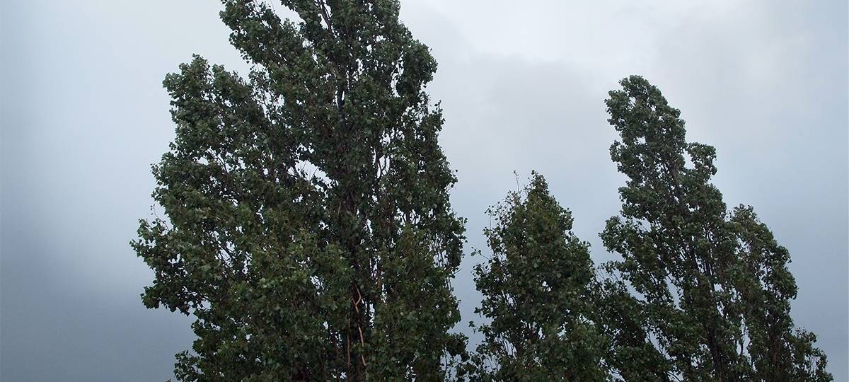 Regen und Sturmböen in Essen lösen Feuerwehr-Einsätze aus
