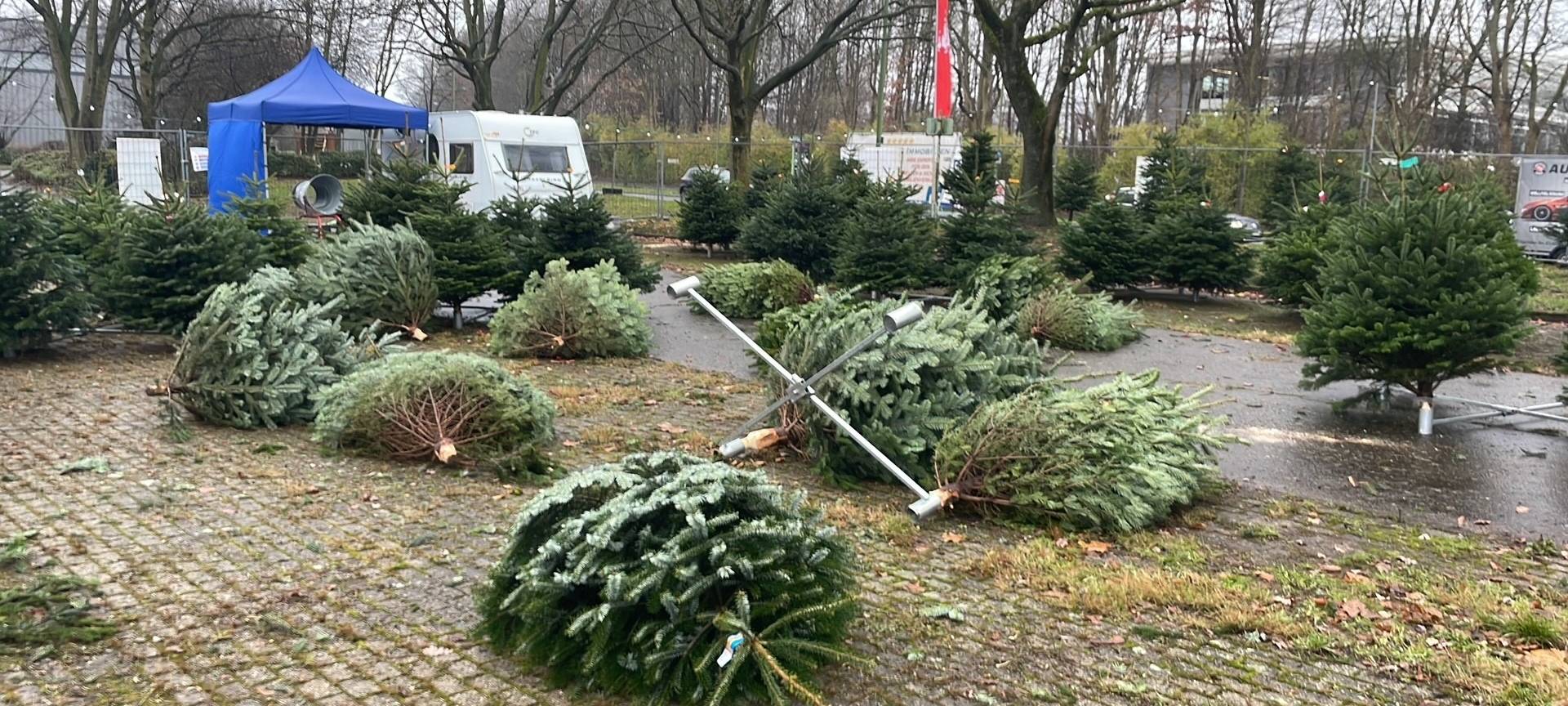 An einem Weihnachtsbaum-Verkauf in Essen wurden mehrere Tannenbäume gestohlen.