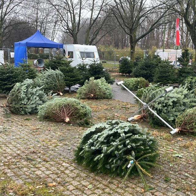 An einem Weihnachtsbaum-Verkauf in Essen wurden mehrere Tannenbäume gestohlen.