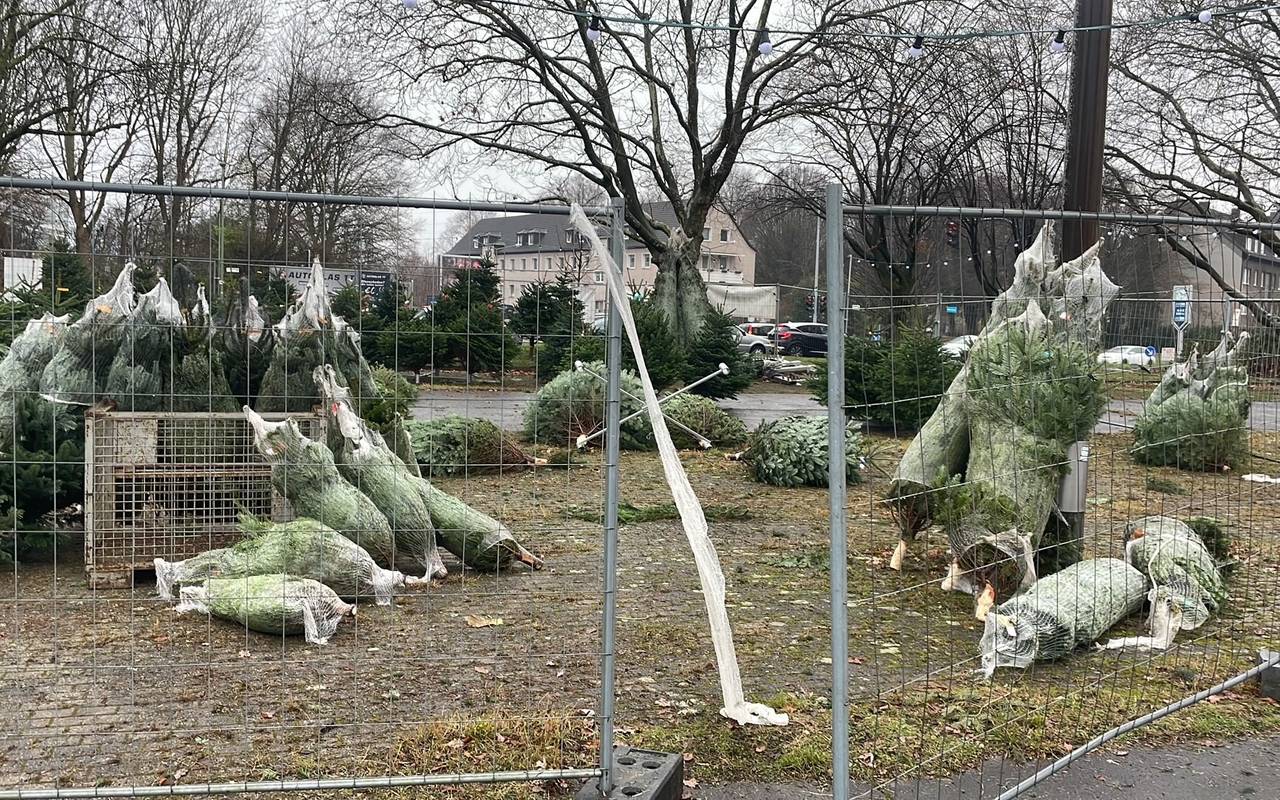 An einem Weihnachtsbaum-Verkauf in Essen wurden mehrere Tannenbäume gestohlen.