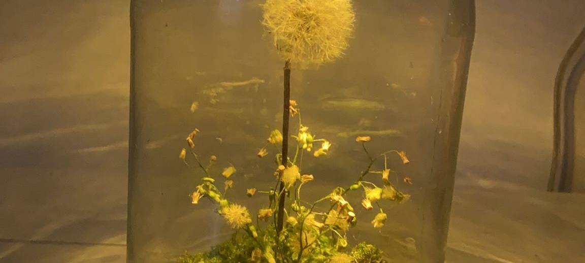 Umweltbewusste Weihnachtsdeko aus Essen: Schülerinnen verkaufen eigene Produkte