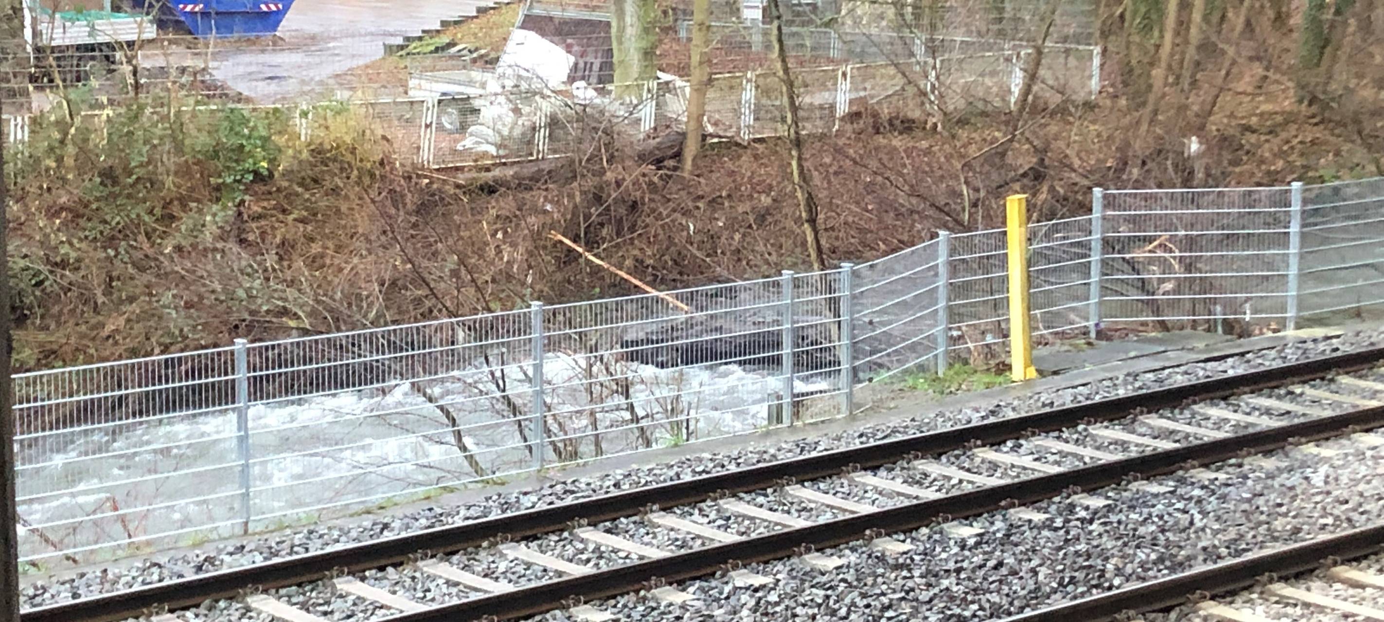 deilbach-baum-hochwasser-radio-essen