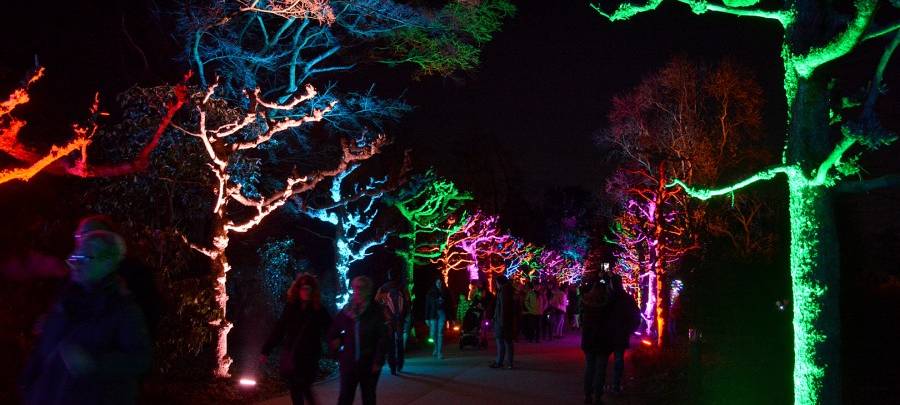 Das Parkleuchten im Grugapark in Essen ist auch dieses Jahr wieder zurück!
