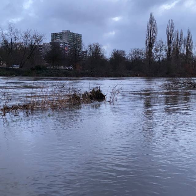 Der Radweg an der Ruhr in Steele ist komplett überflutet. 