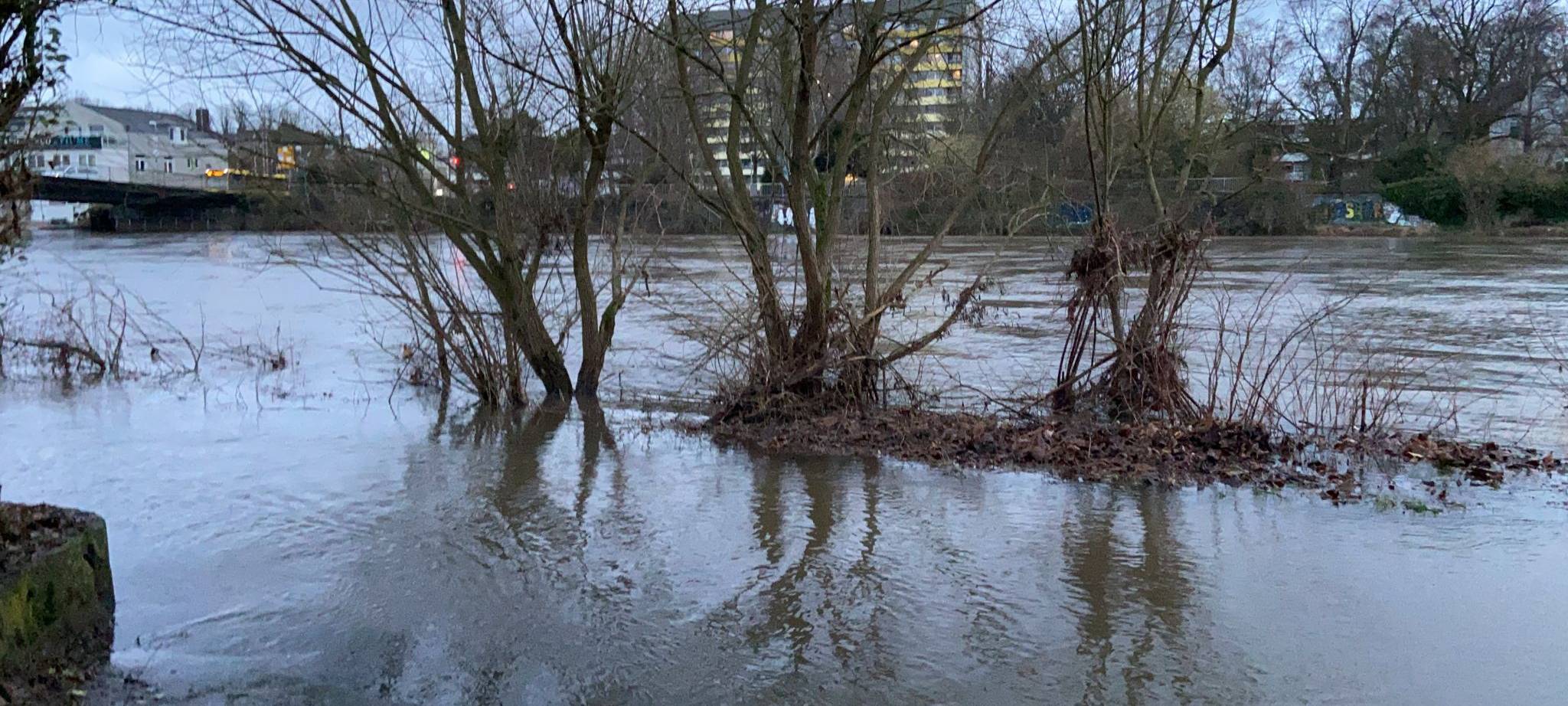 Hochwasser in Essen: Ruhr nach Dauerregen mit hohem Pegel