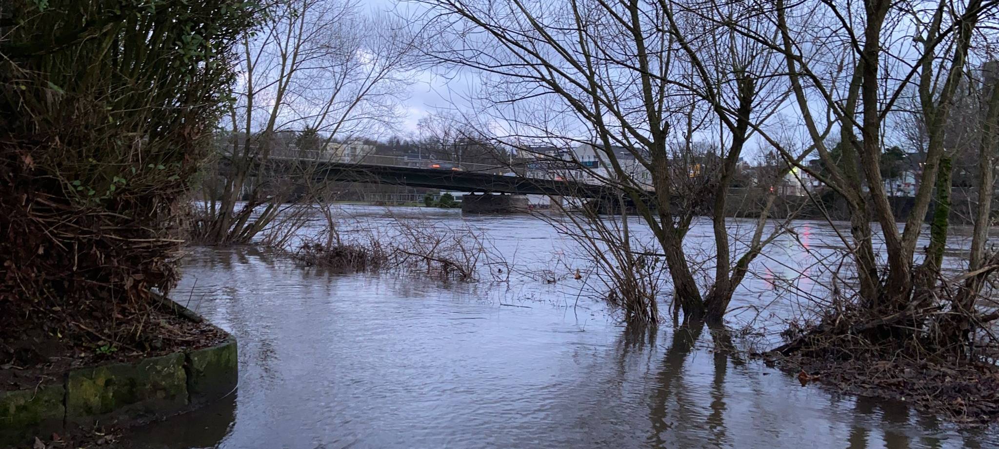 Hochwasser in Essen: Ruhr nach Dauerregen mit hohem Pegel