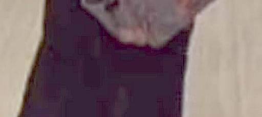 tatverdaechtige_25938_3polizei-radio-essen-fahndung