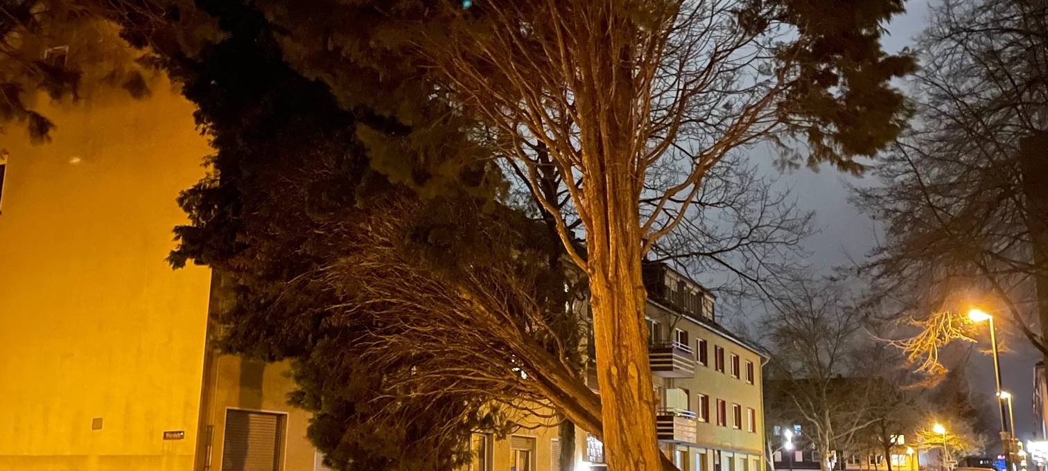 Sturm Essen: Über 200 Einsätze für die Feuerwehr