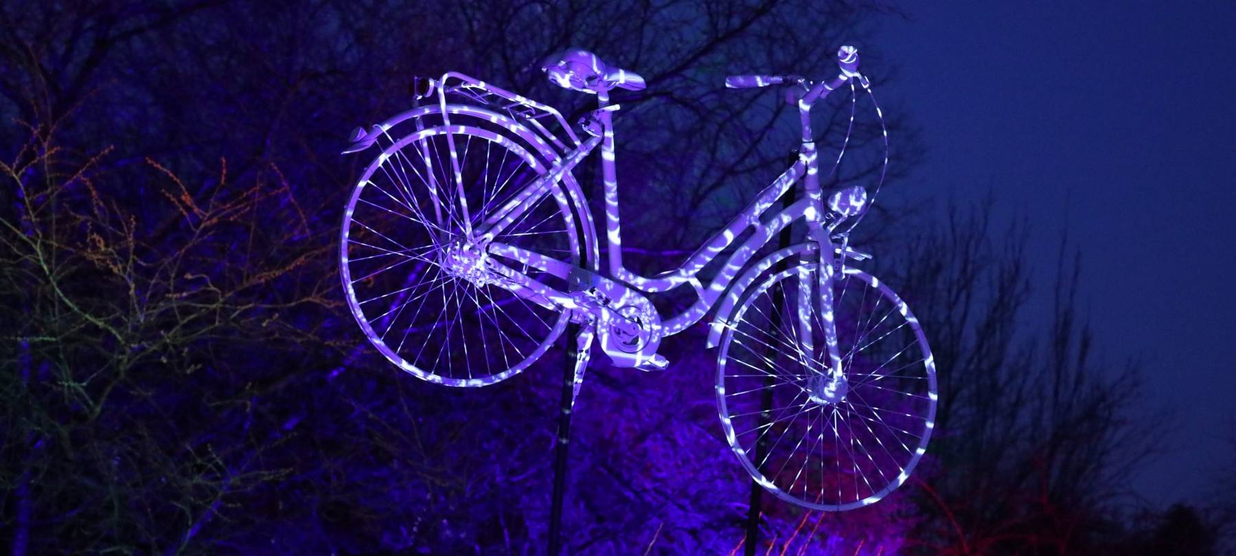 Essen: Vorverkauf für Parkleuchten in der Gruga gestartet