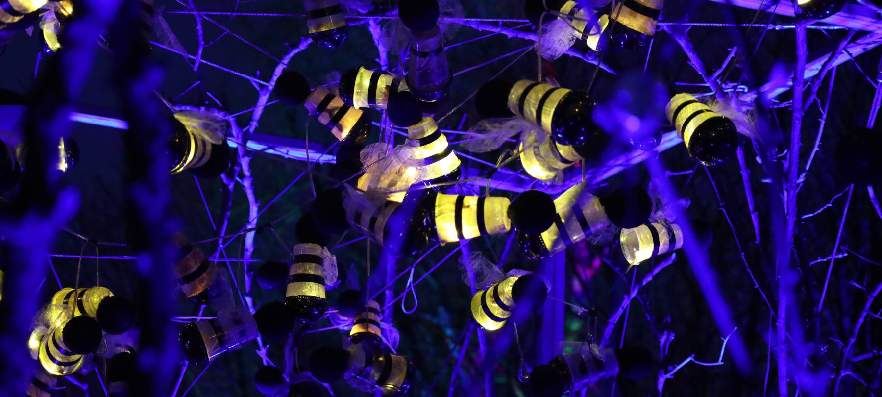 Essen: Vorverkauf für Parkleuchten in der Gruga gestartet