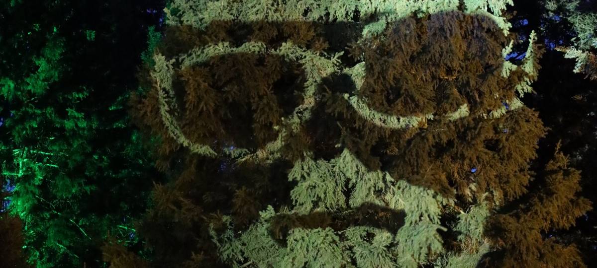 Essen: Vorverkauf für Parkleuchten in der Gruga gestartet