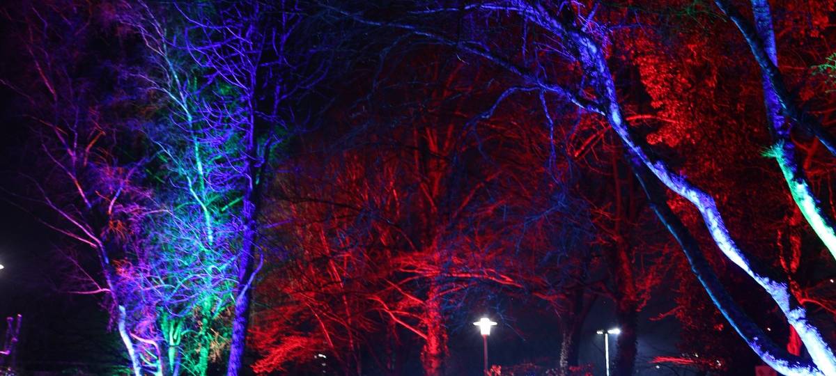 Essen: Vorverkauf für Parkleuchten in der Gruga gestartet