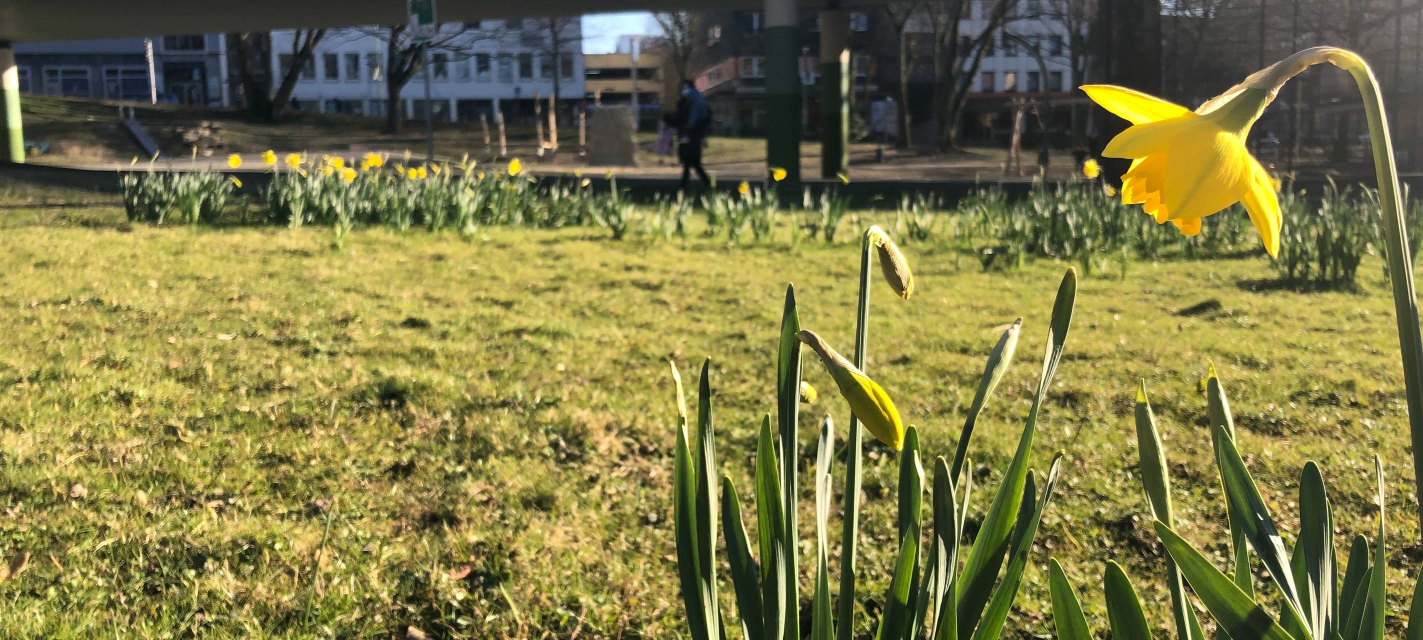 Waldthausenpark im Stadtkern von Essen