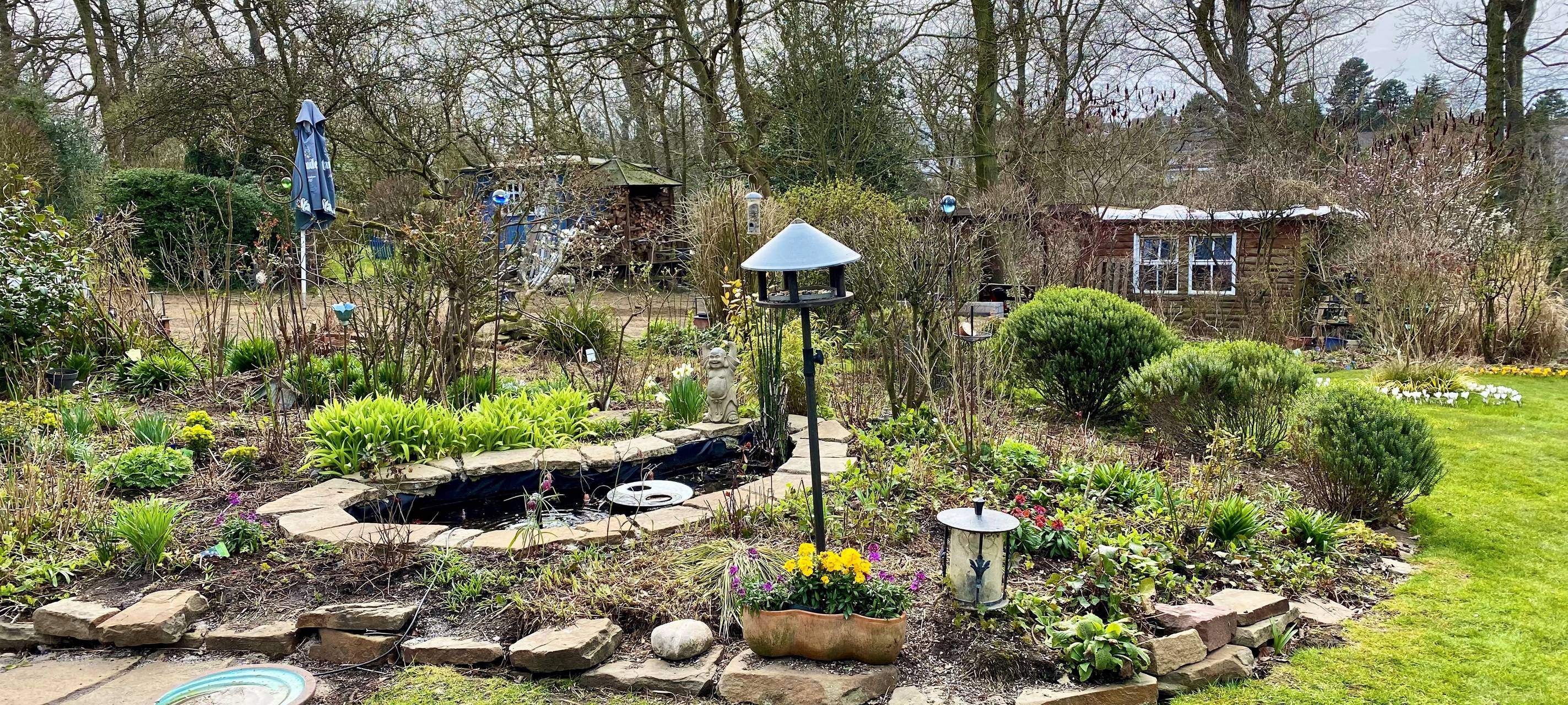 Essen hat einen ersten zertifizierten naturnahen Garten - Paradies für Insekten und Co.